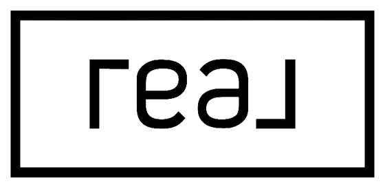 Real Broker LLC